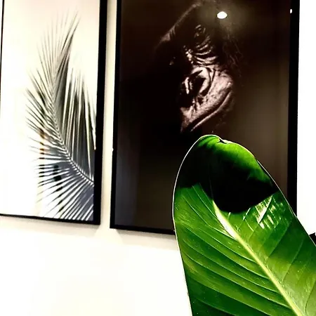 Jungle Garage Prive Netflix Apartment